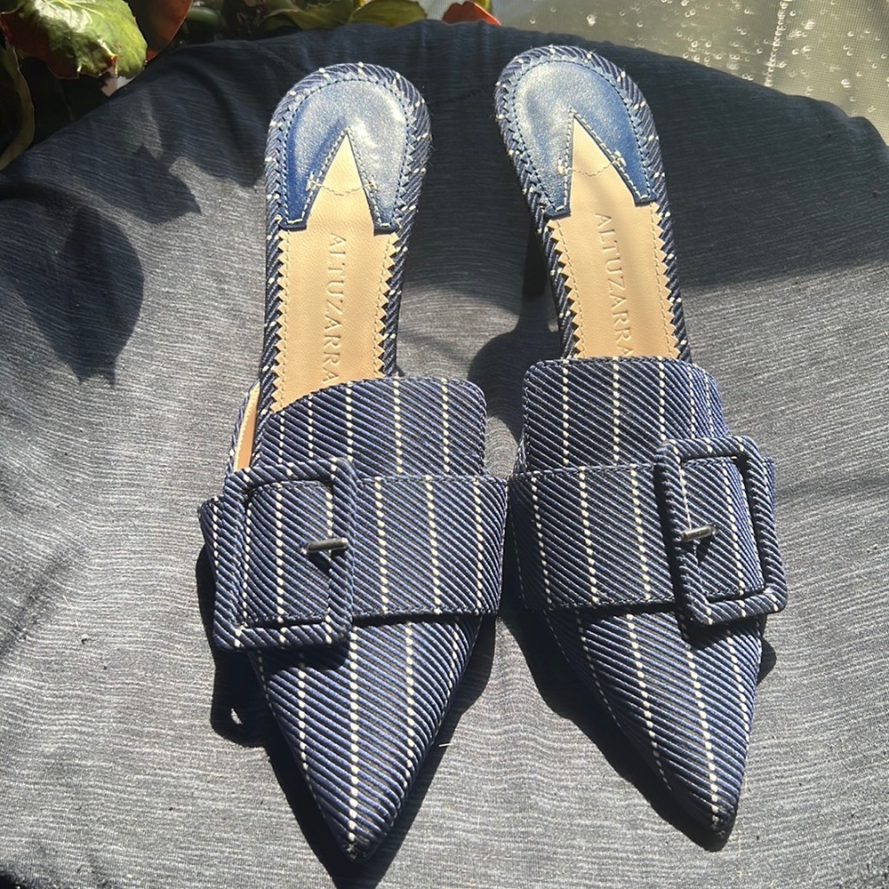 Altuzarra izy miles